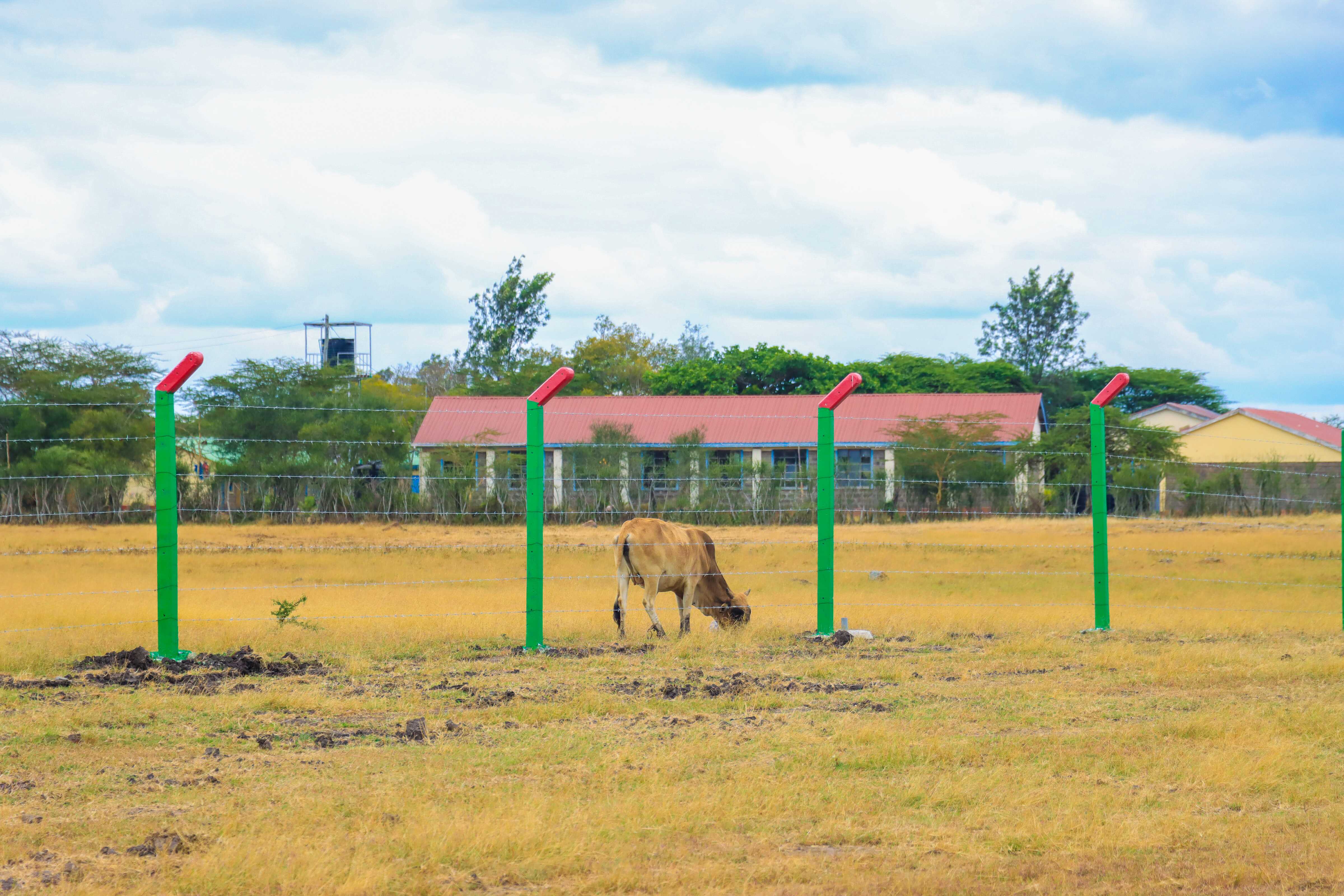 PLOTS FOR SALE IN KANGUNDO ROAD 390K (NGULUNI)