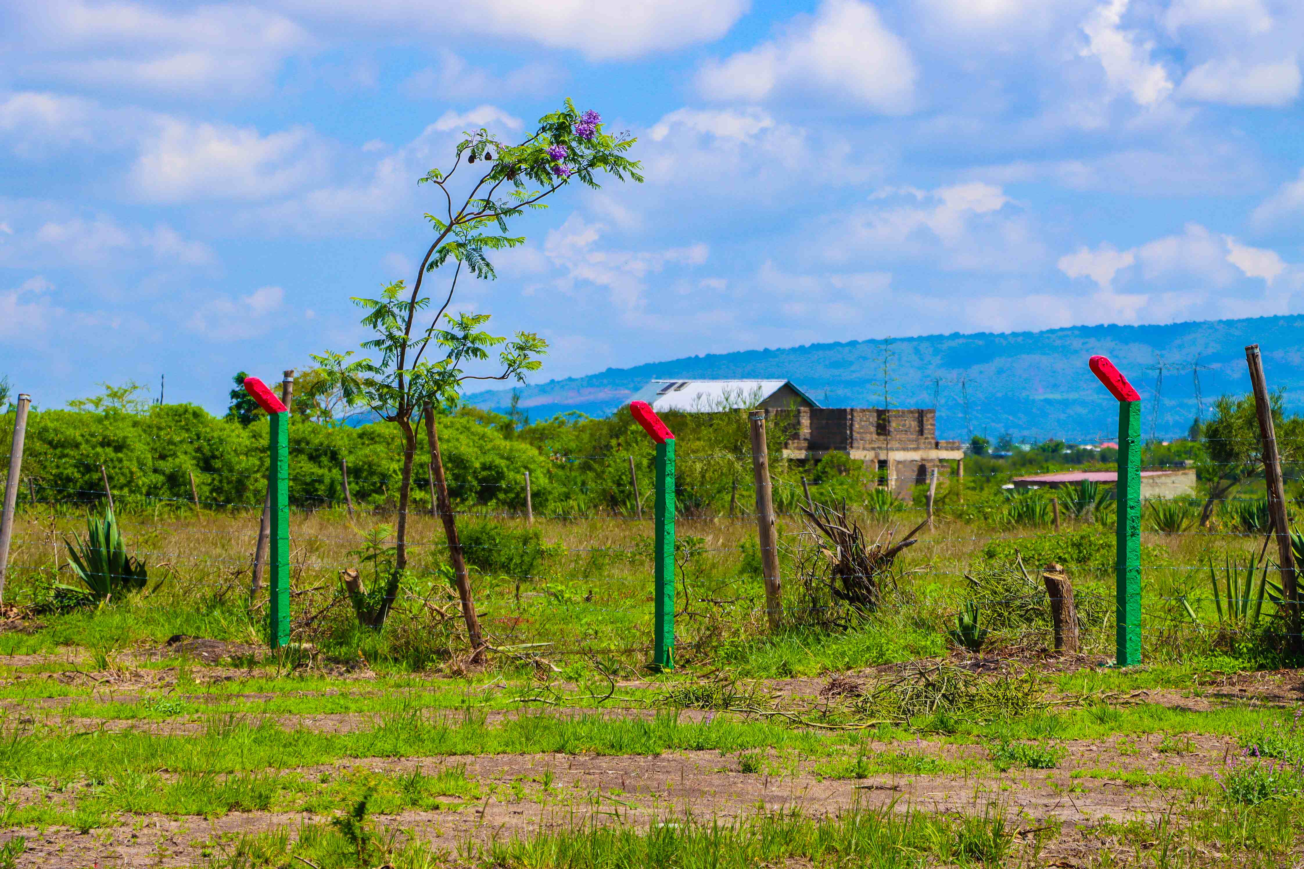 PLOTS FOR SALE IN JUJA 745K (JUJA PHASE 73)