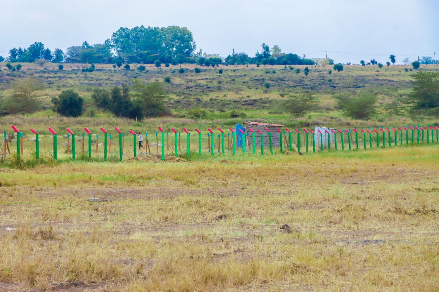 PLOTS FOR SALE IN KITENGELA 895 (KITENGELA SHUJAA RIDGE PHASE 5)
