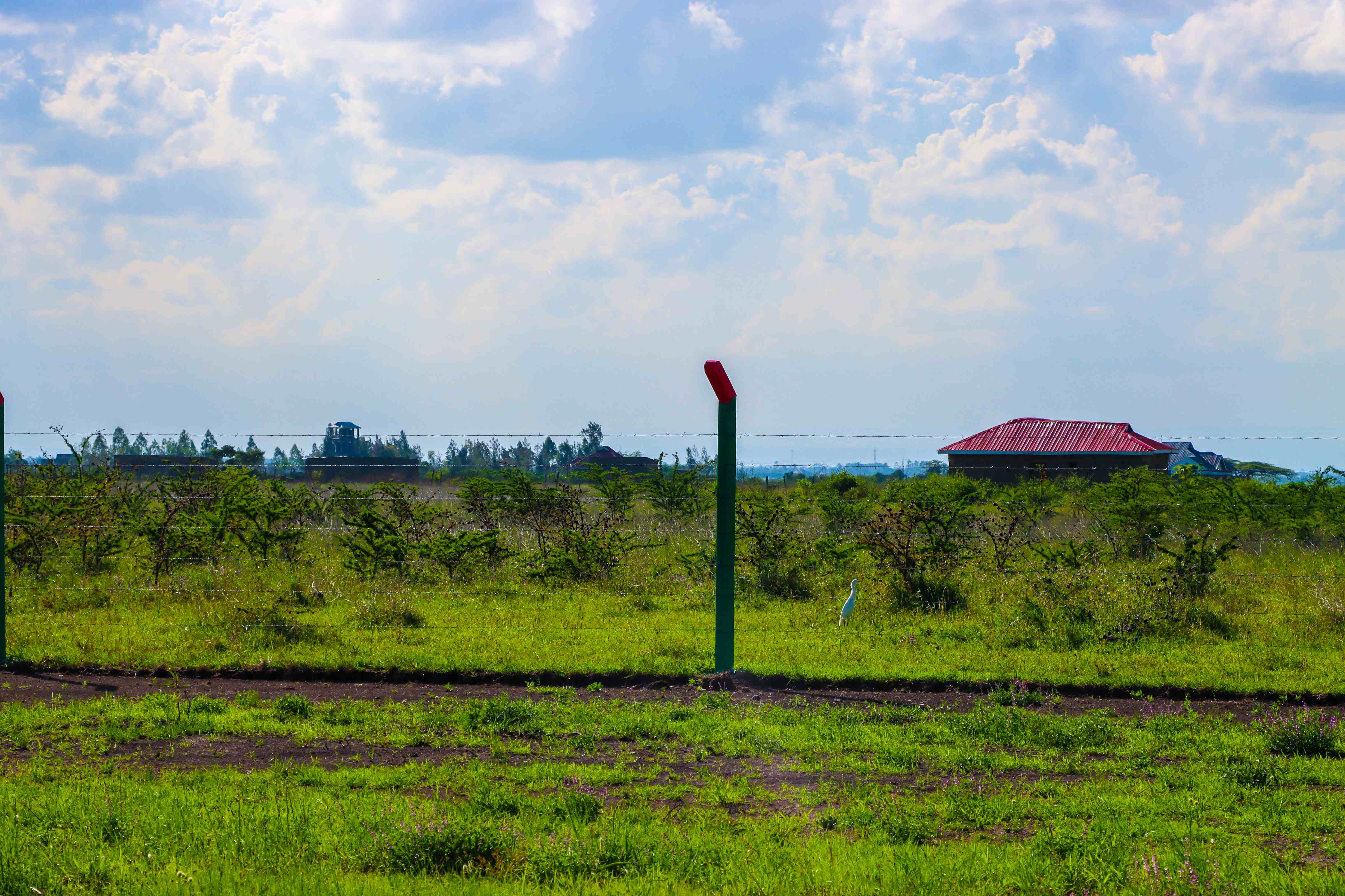 PLOTS FOR SALE IN JUJA 495K (JUJA PHASE 71)