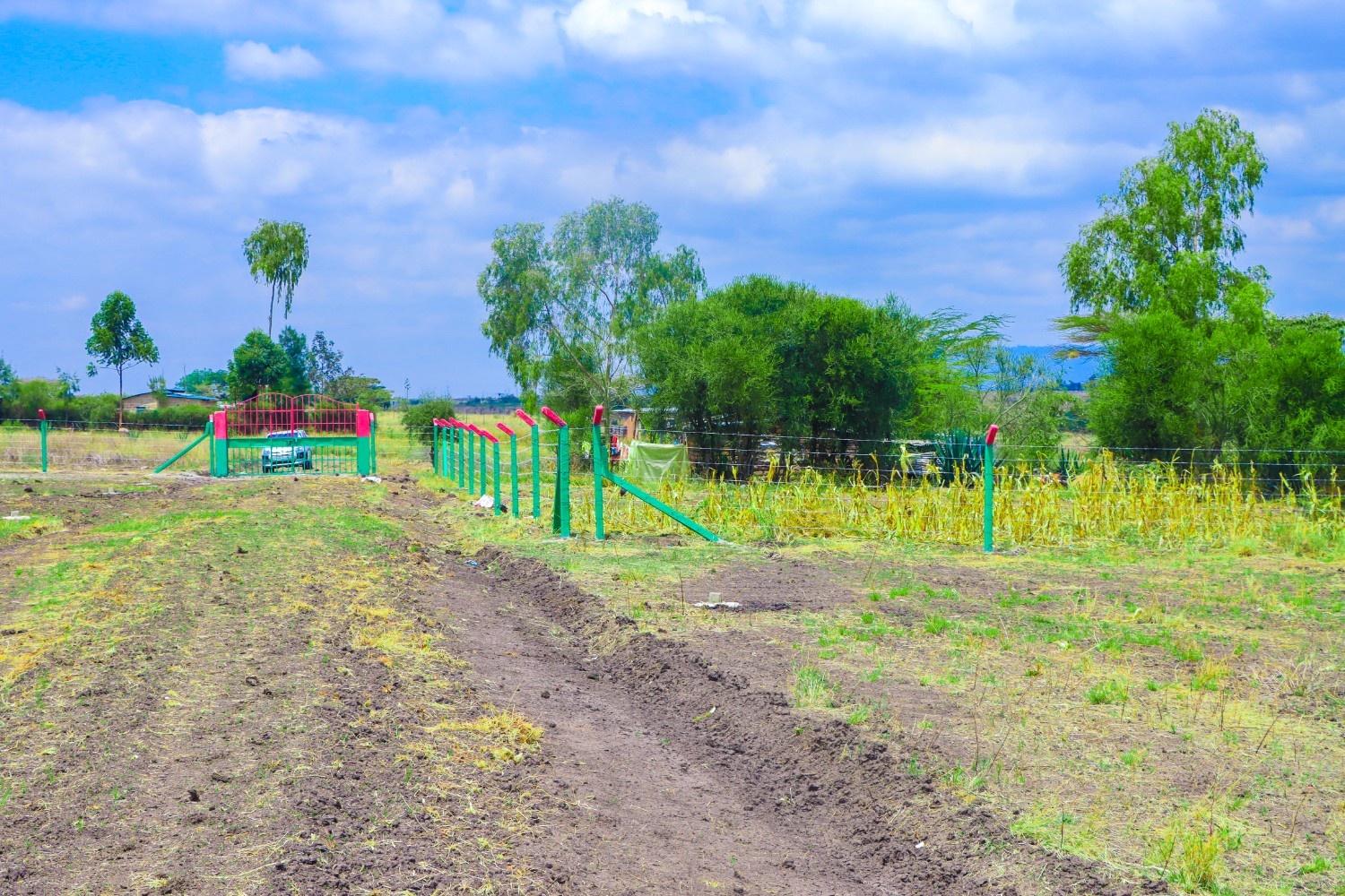 PLOTS FOR SALE IN JOSKA 695K (JOSKA PHASE 46)