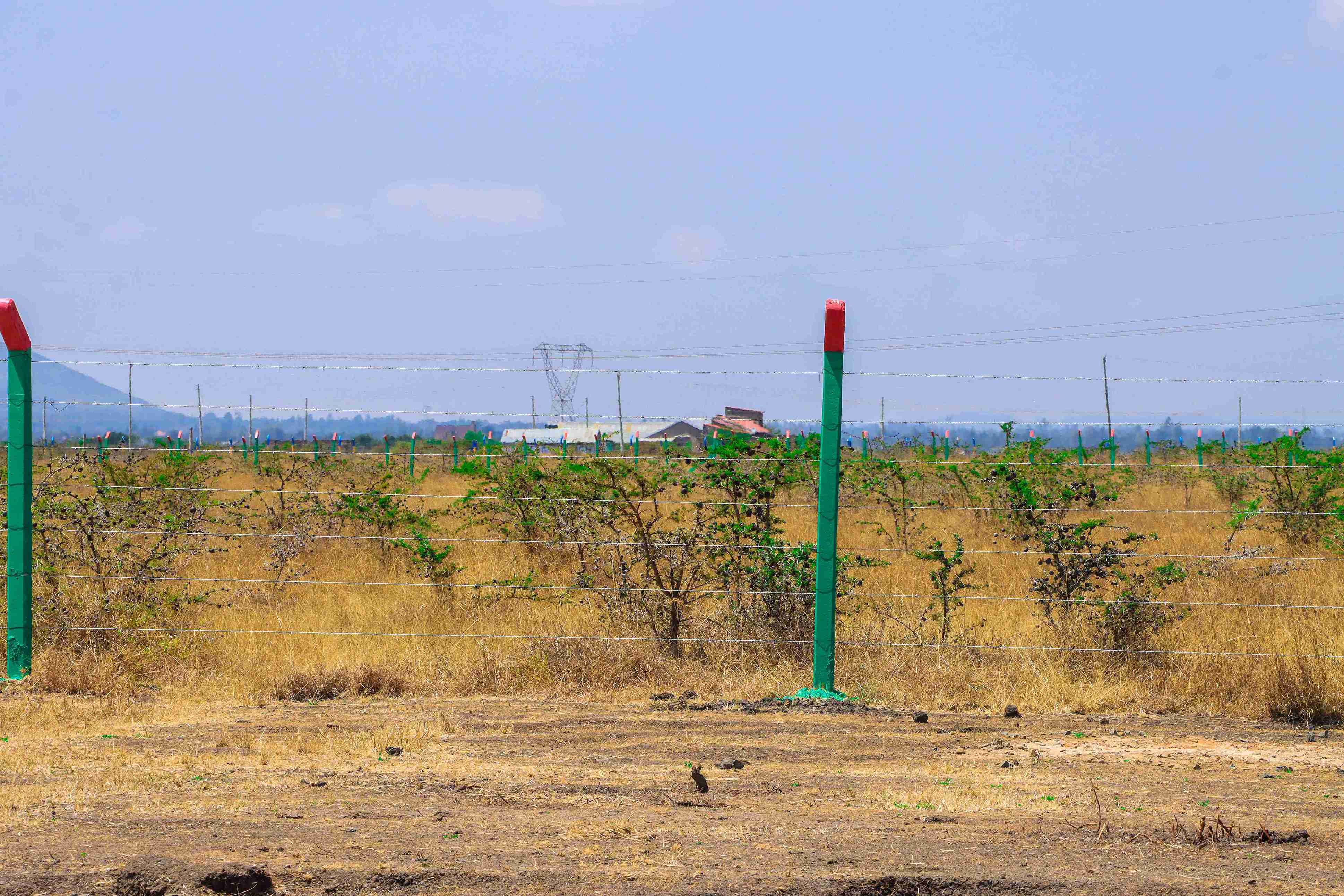PLOTS FOR SALE IN JUJA 595K (JUJA PHASE 85)