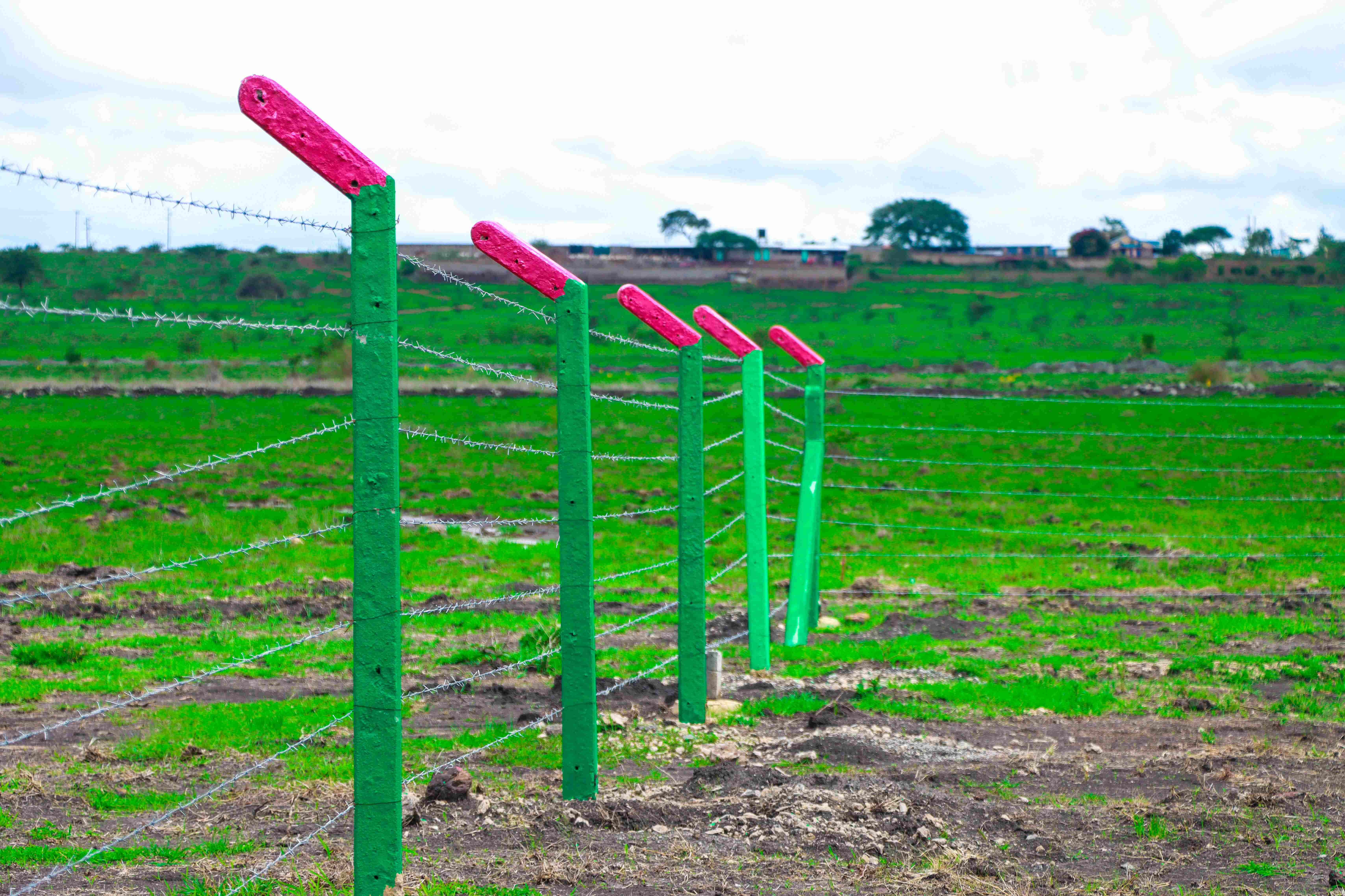 PLOTS FOR SALE IN MUTHAARA 595K (HEKIMA GARDENS)