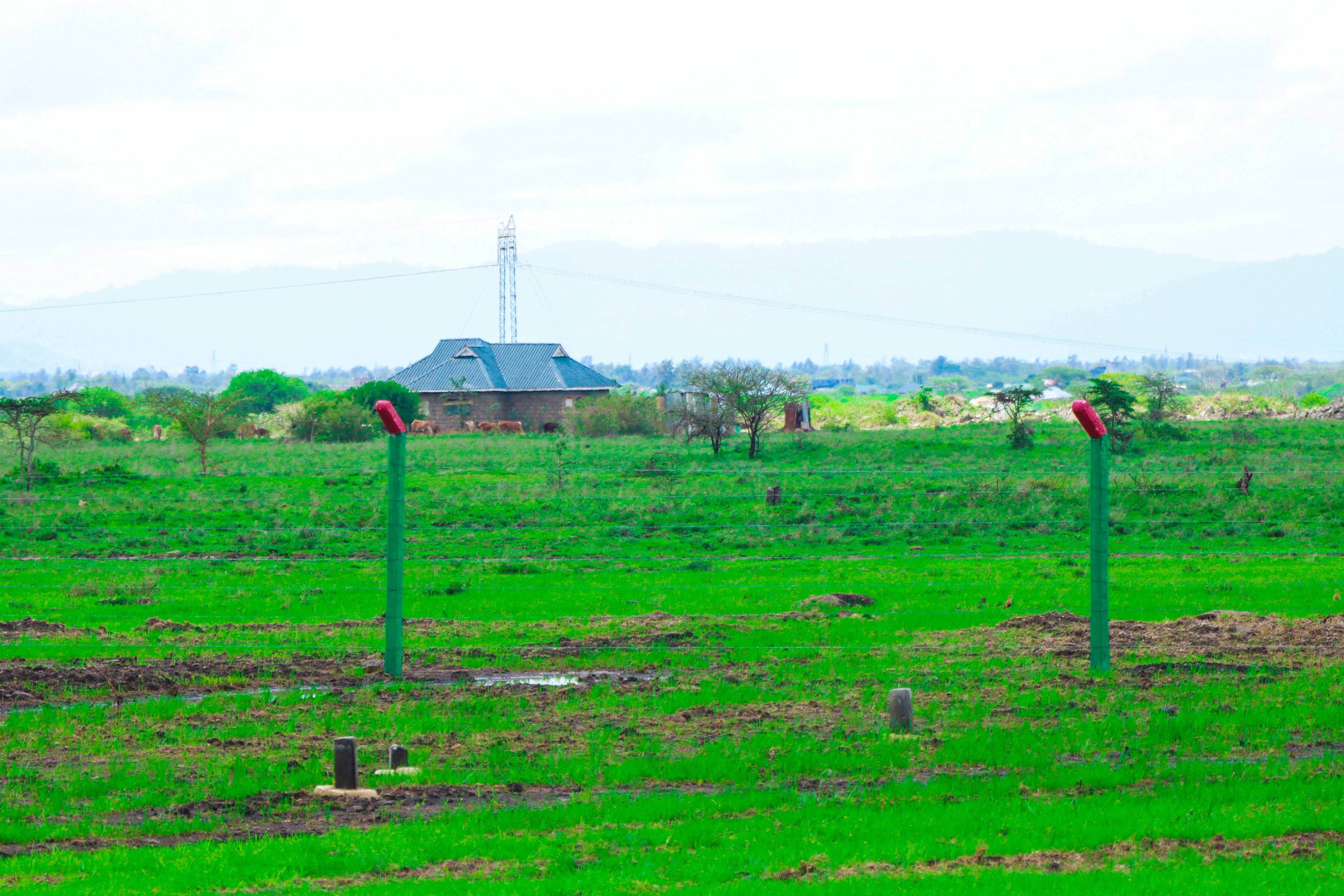 PLOTS FOR SALE IN MUTHAARA 595K (HEKIMA GARDENS)