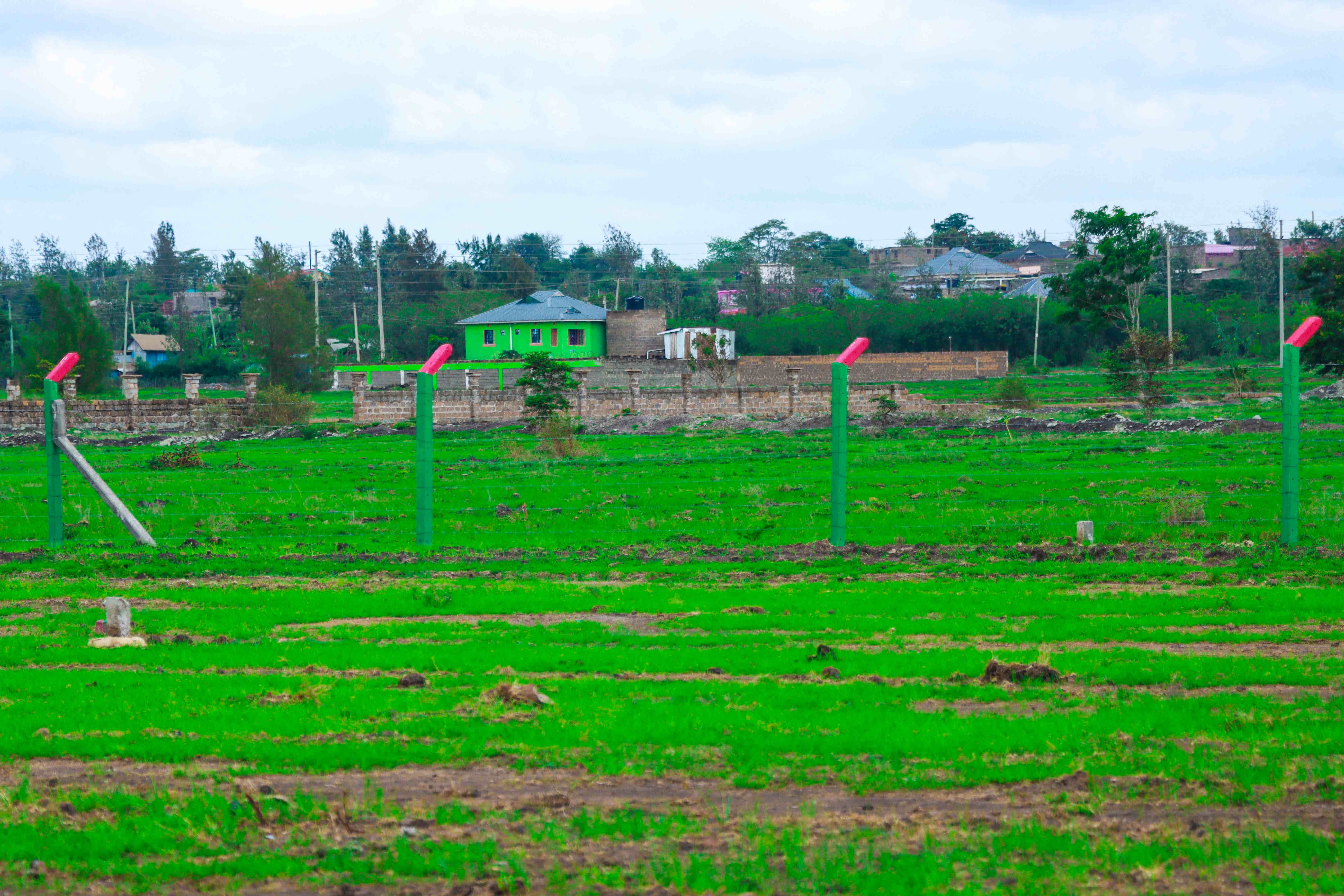 PLOTS FOR SALE IN MUTHAARA 595K (HEKIMA GARDENS)