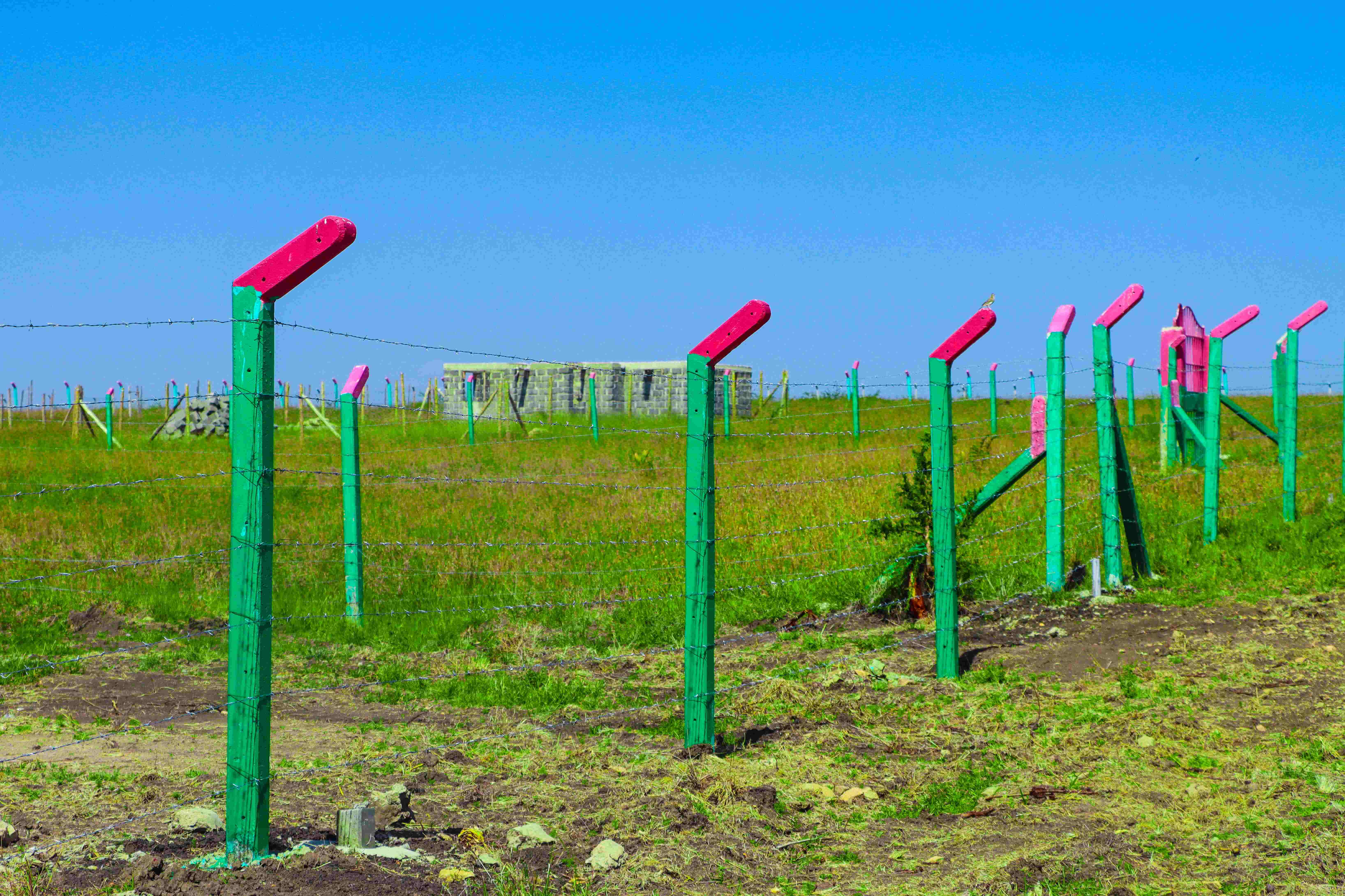 PLOTS FOR SALE IN JOSKA 395K (JOSKA PHASE 50)