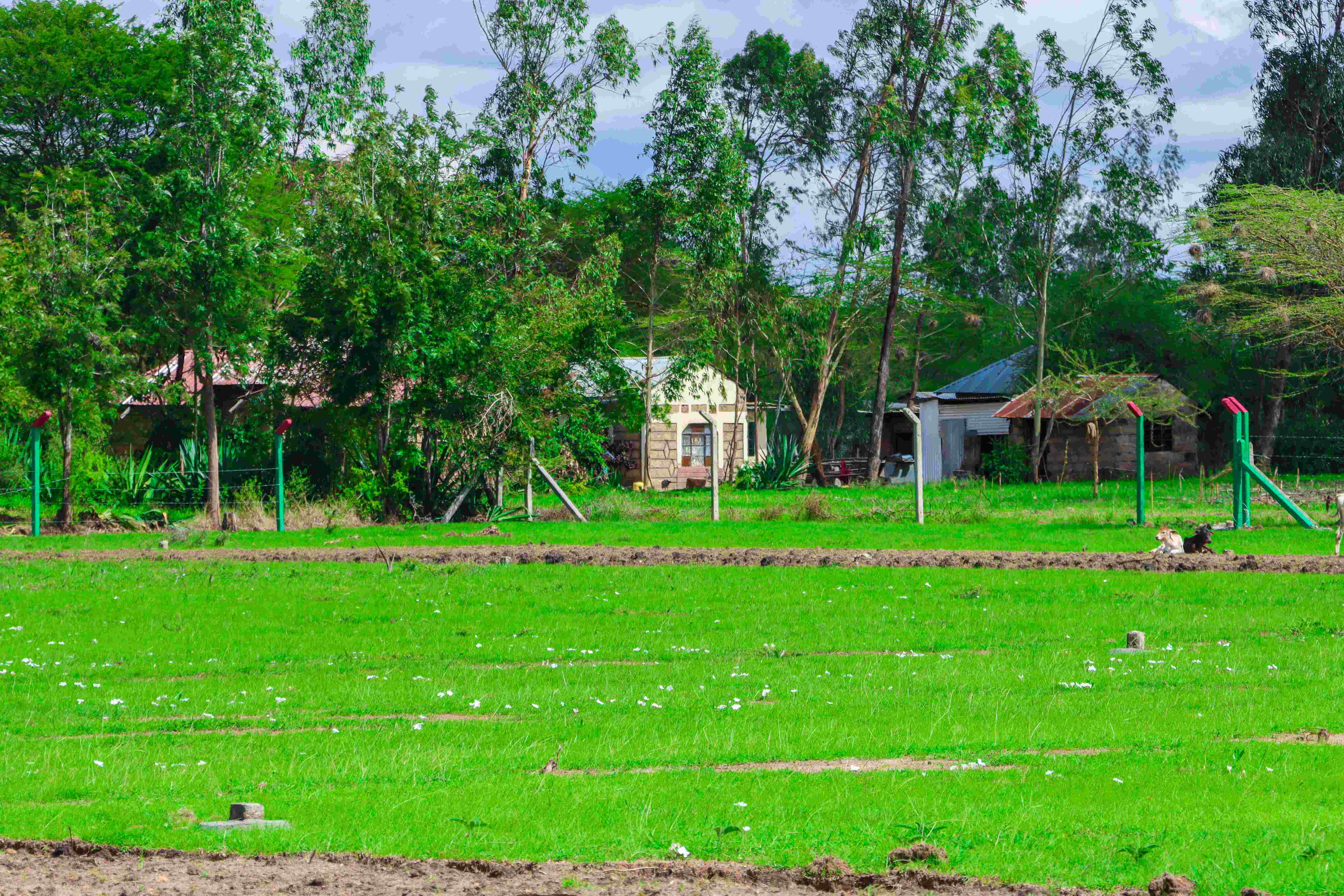 PLOTS FOR SALE IN KANGUNDO ROAD 445K (SQUARE LONDON TALA)