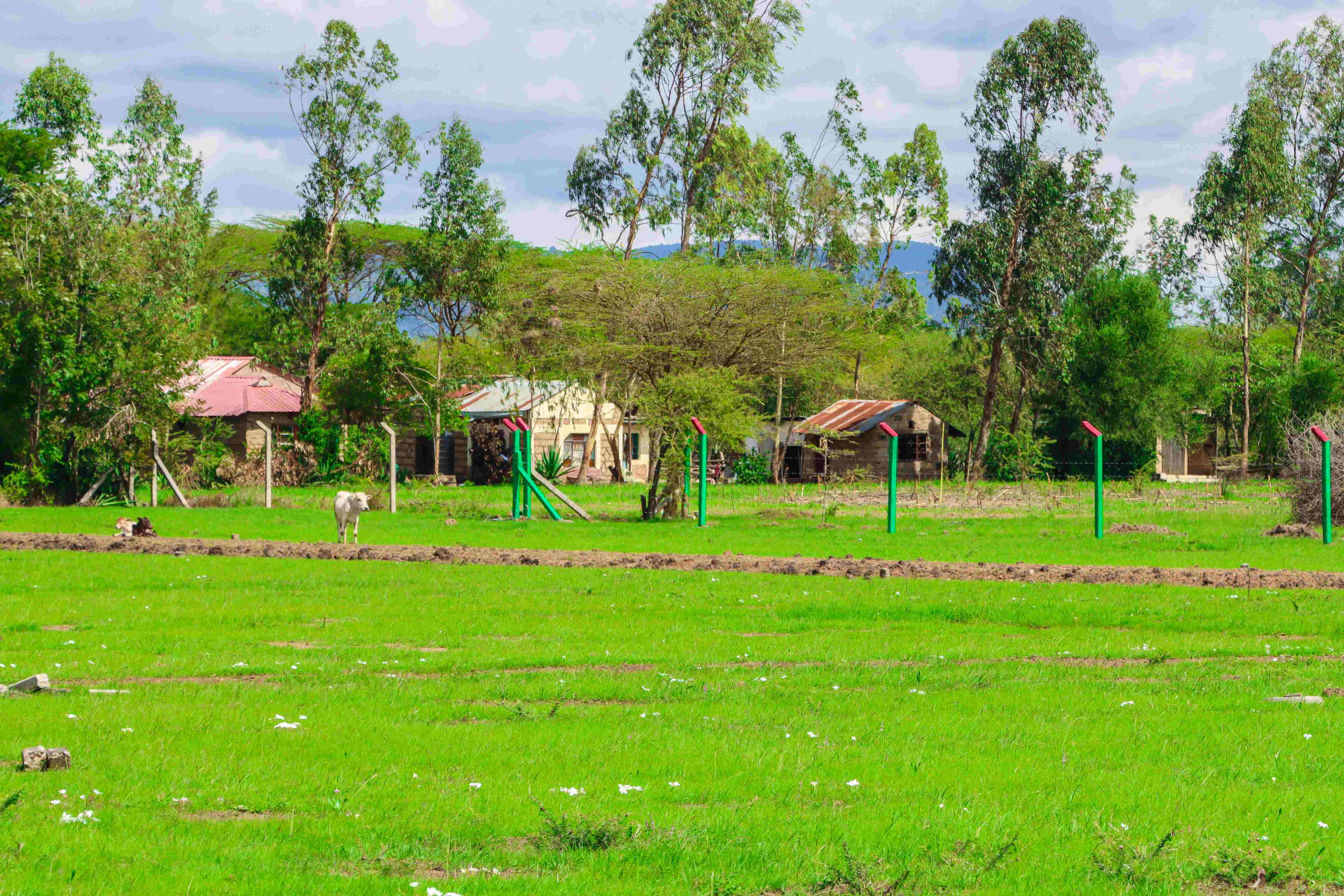 PLOTS FOR SALE IN KANGUNDO ROAD 445K (SQUARE LONDON TALA)
