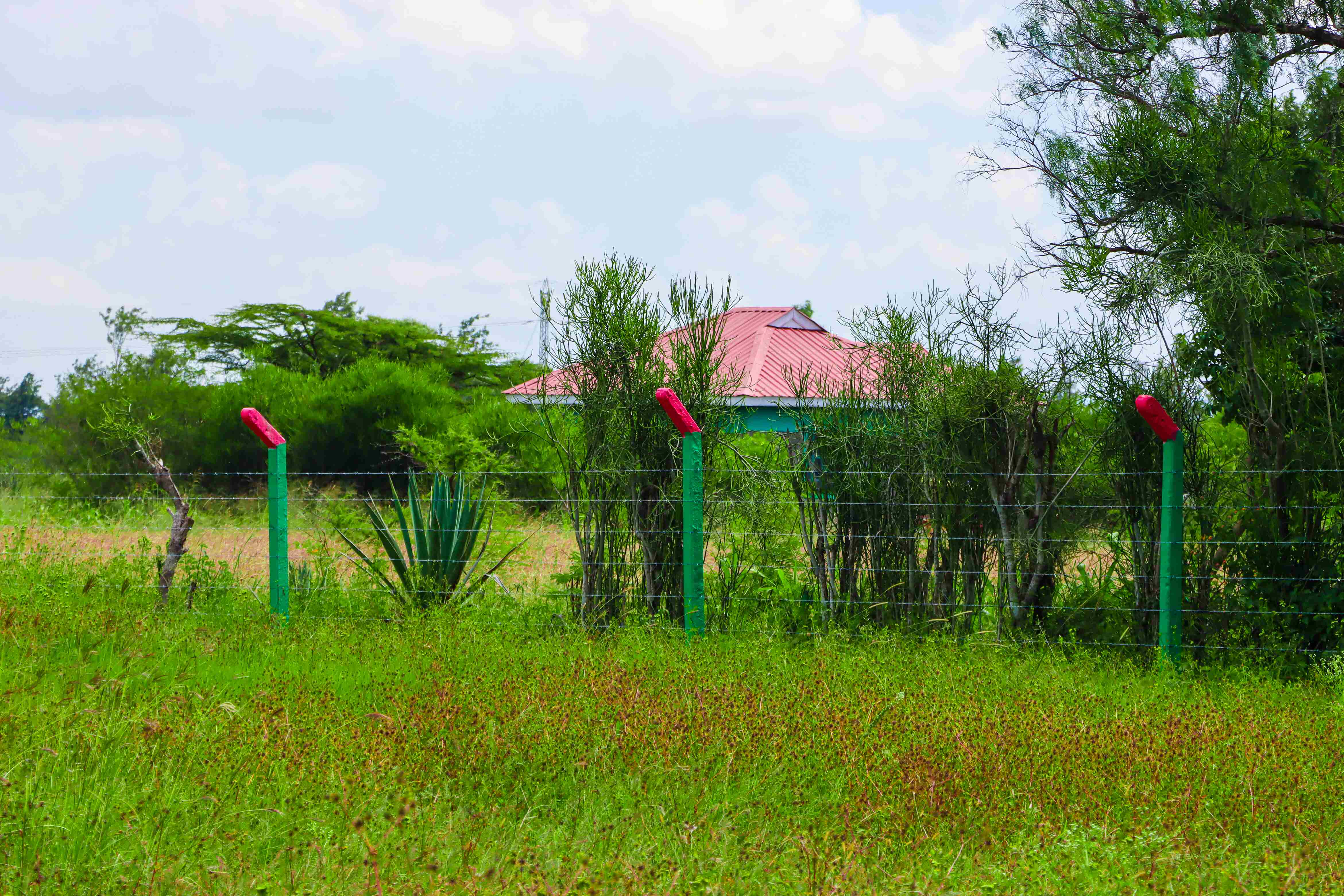 PLOTS FOR SALE IN JUJA 850K (JUJA PHASE 76)