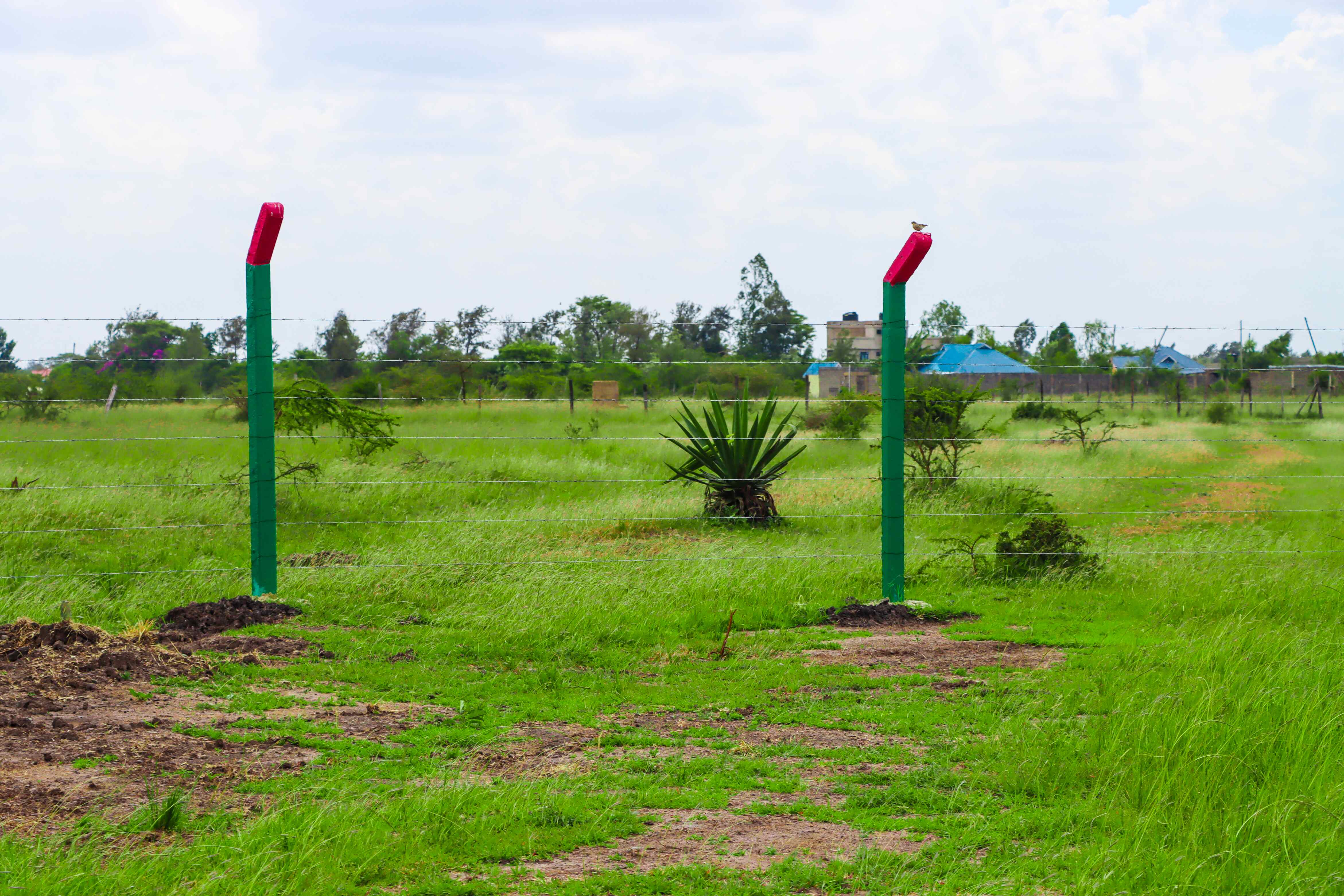 PLOTS FOR SALE IN JUJA 1.295M (JUJA PHASE 74)