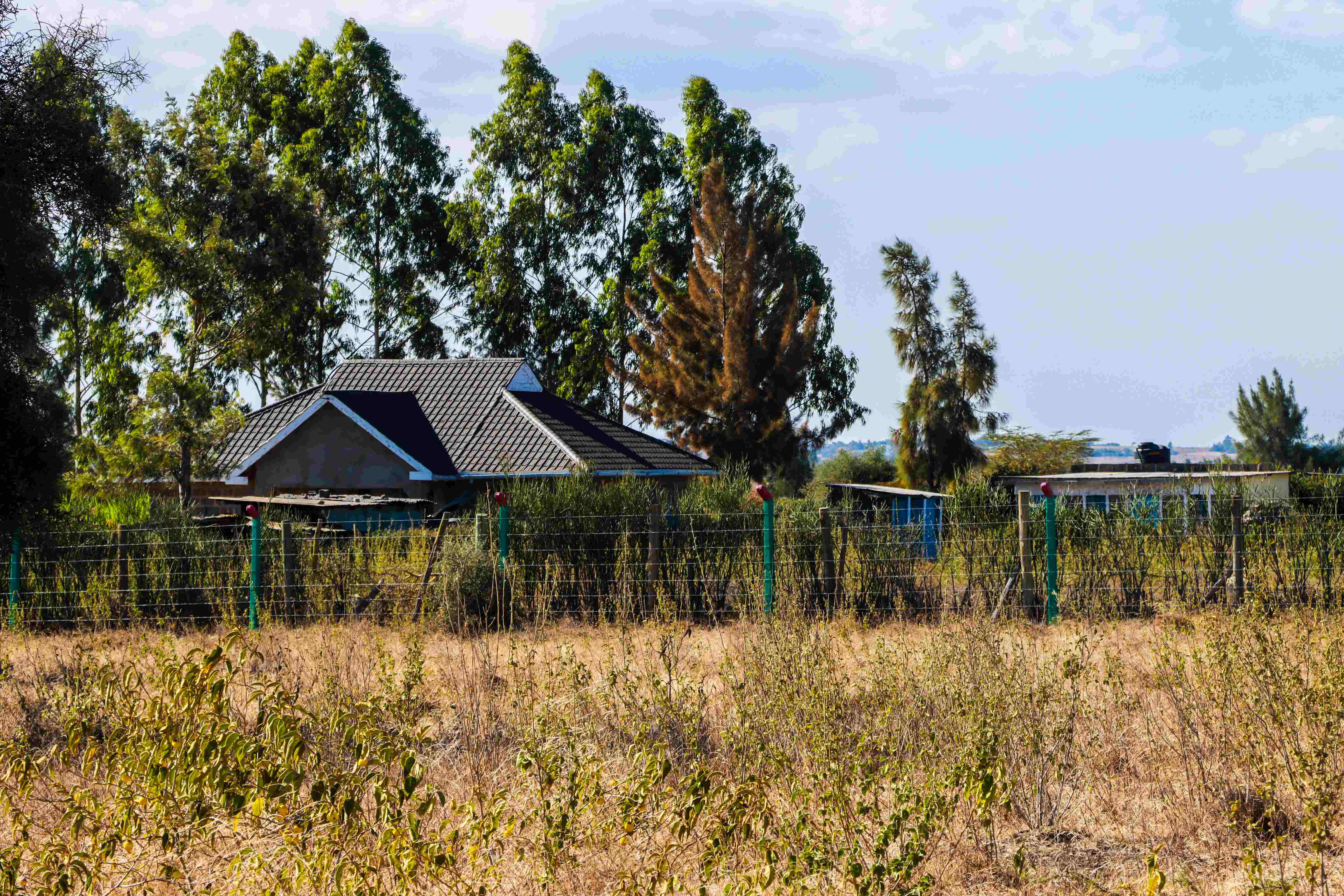 PLOTS FOR SALE IN KITENGELA 895 (KITENGELA SHUJAA RIDGE PHASE 6)