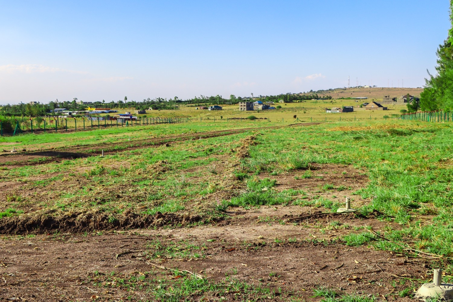 PLOTS FOR SALE IN JOSKA 795K (JOSKA PHASE 41)
