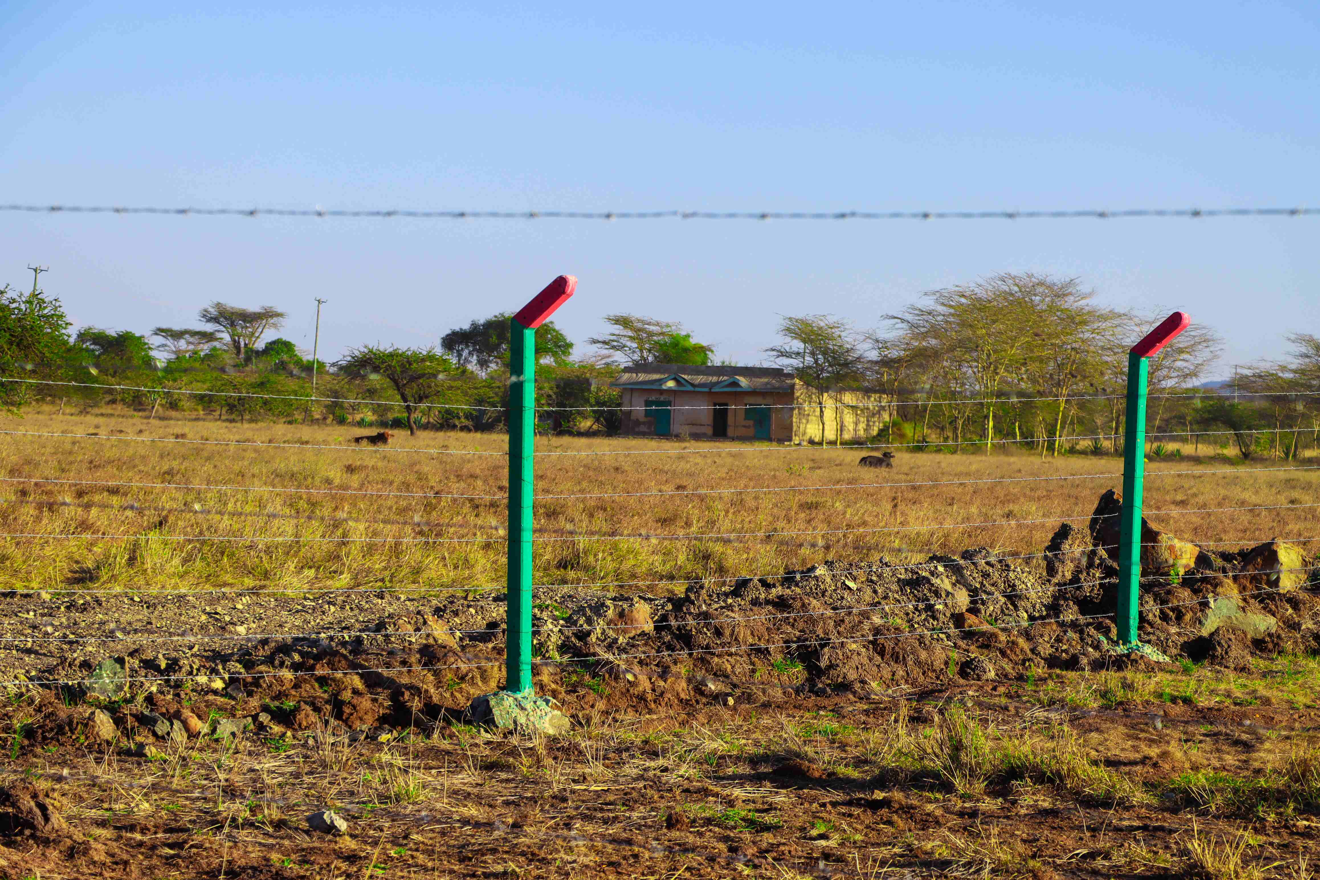 PLOTS FOR SALE IN KOMAROCK 445K (KOMAROCK FURAHA GARDENS)