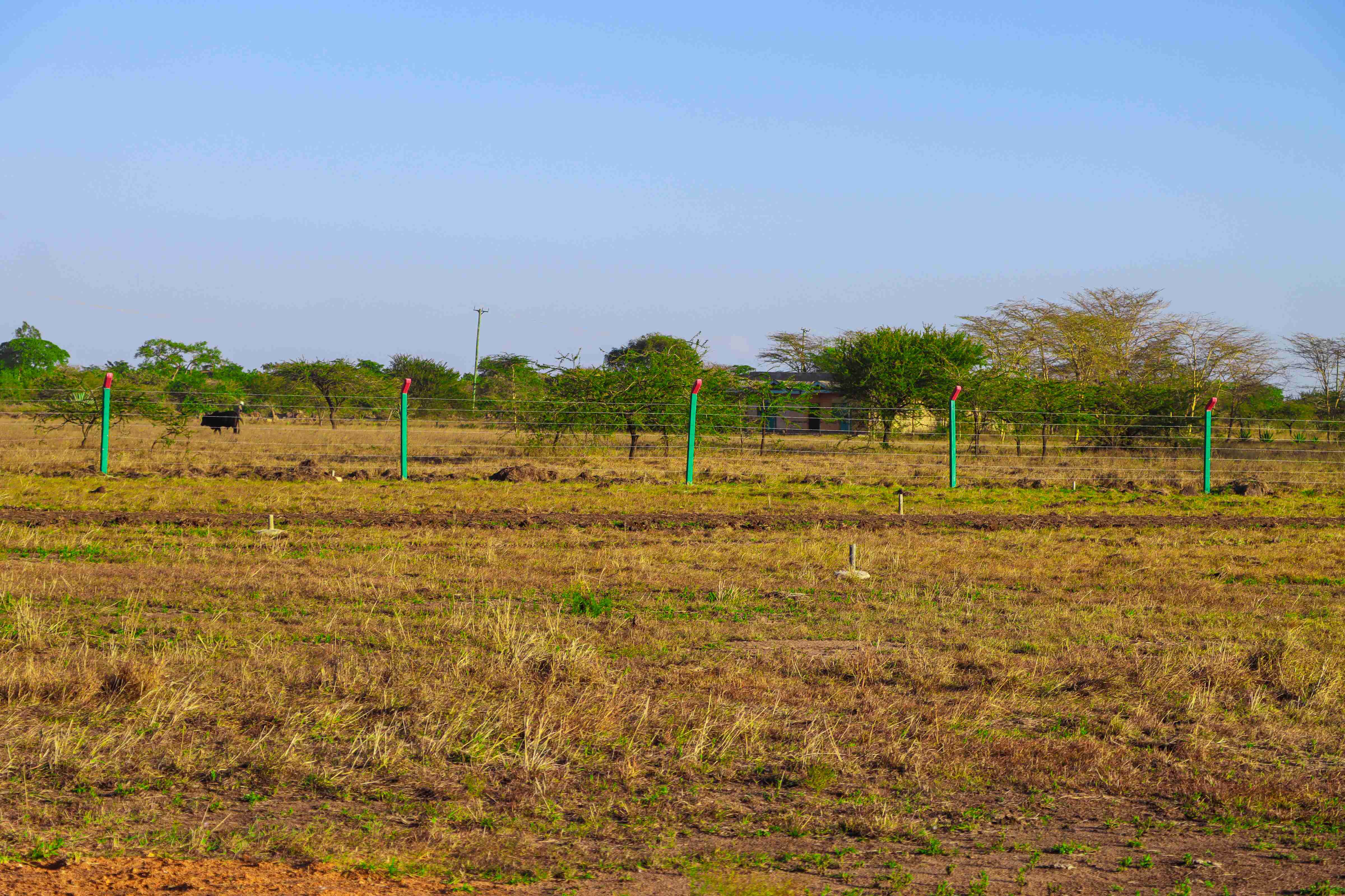 PLOTS FOR SALE IN KOMAROCK 445K (KOMAROCK FURAHA GARDENS)