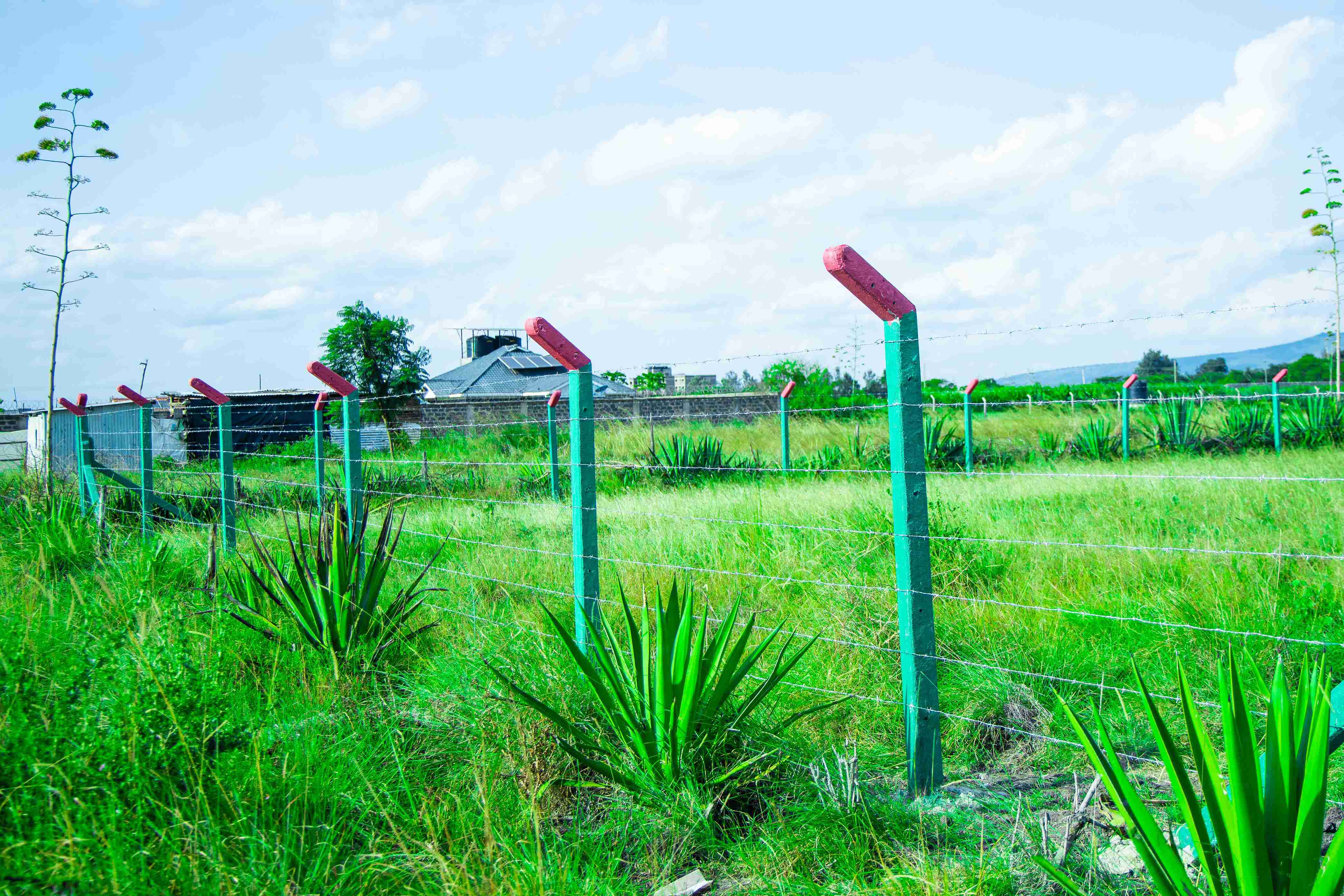 PLOTS FOR SALE IN JUJA 995K (JUJA PHASE 84)